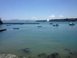 MInami Sanriku Ocean